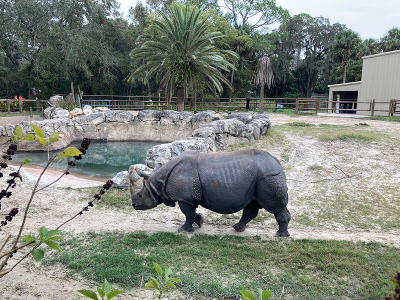 Central Florida Zoo & Botanical Gardens (Sanford)
