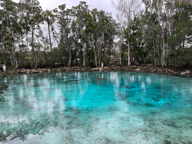 Three Sisters Springs (Crystal River)