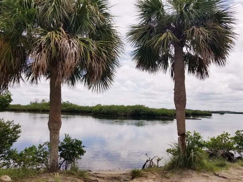 Ozello (Citrus County)