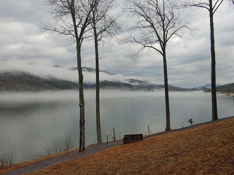 Winter Quiet and Starry Nights