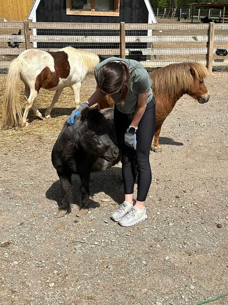 Volunteering here can change your perspective