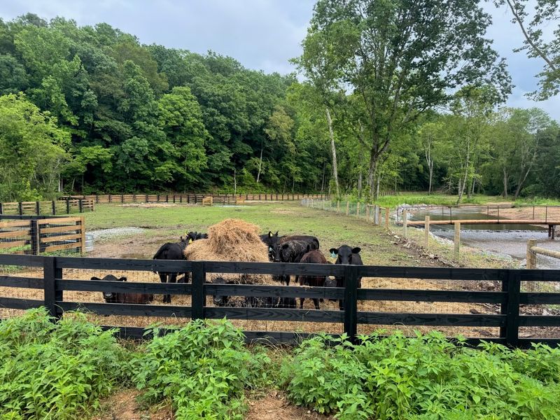 Farm Tours Let Visitors See The Mission Up Close