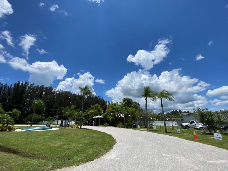 What to Expect When You Arrive: Parking, Admission, and Getting Around