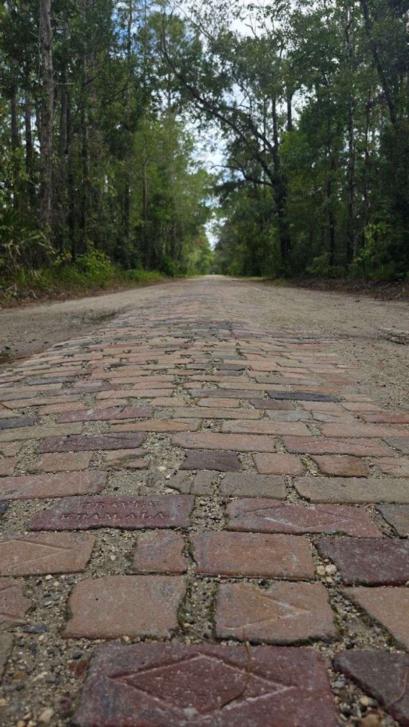 Nine Miles of Sand, Bricks, and Pure Florida Wildness