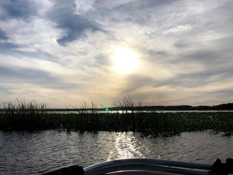 Bird Watching That Rivals Any Wildlife Refuge