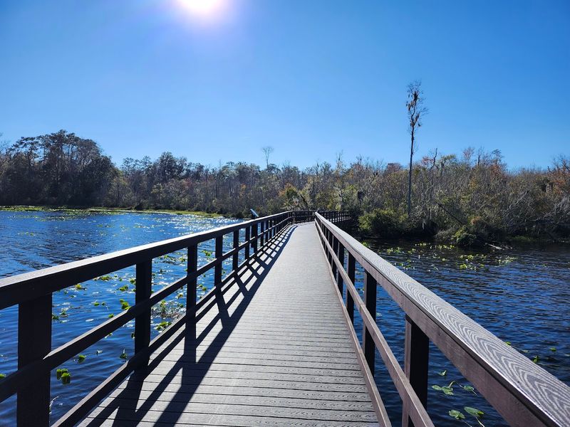 Boardwalk Adventures to Black Creek's Hidden Beauty