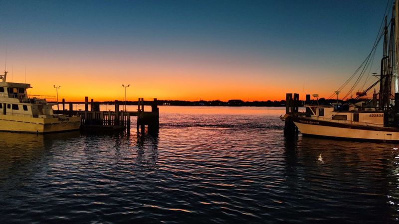 Safe Harbor Seafood: Straight Off the Boat