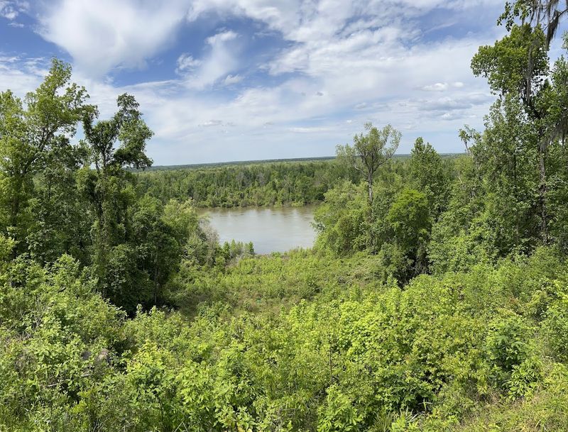 Torreya State Park (Bristol)