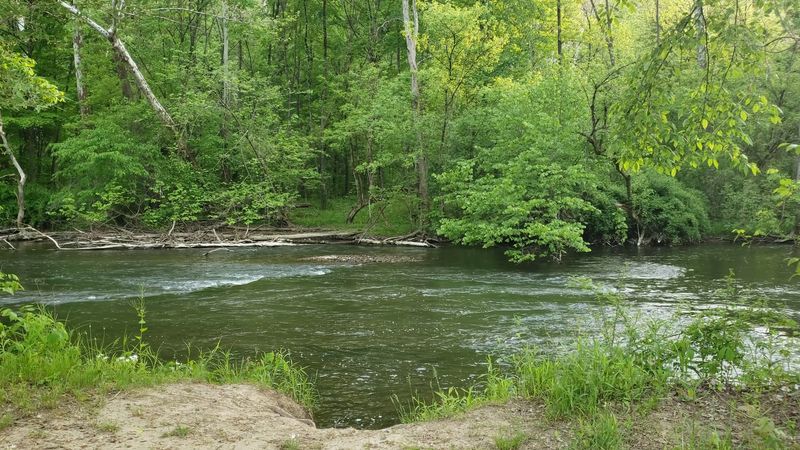 Clear Fork River Paddling