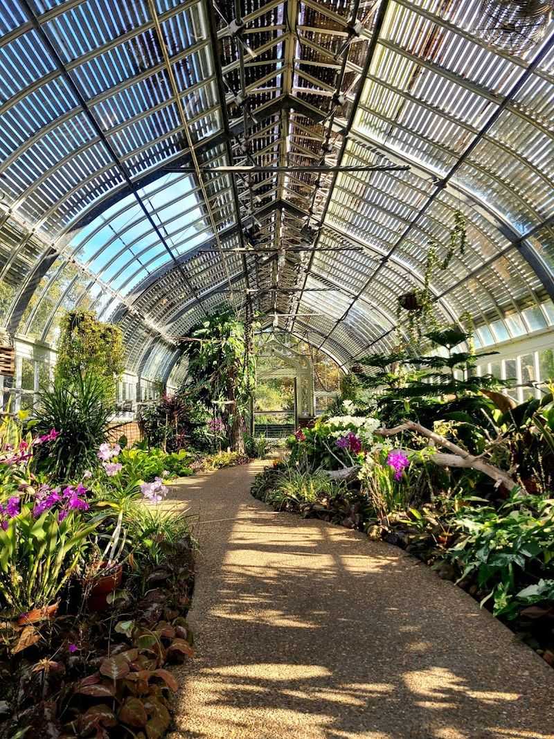 Extensive Greenhouse Collections Beat Texas Heat
