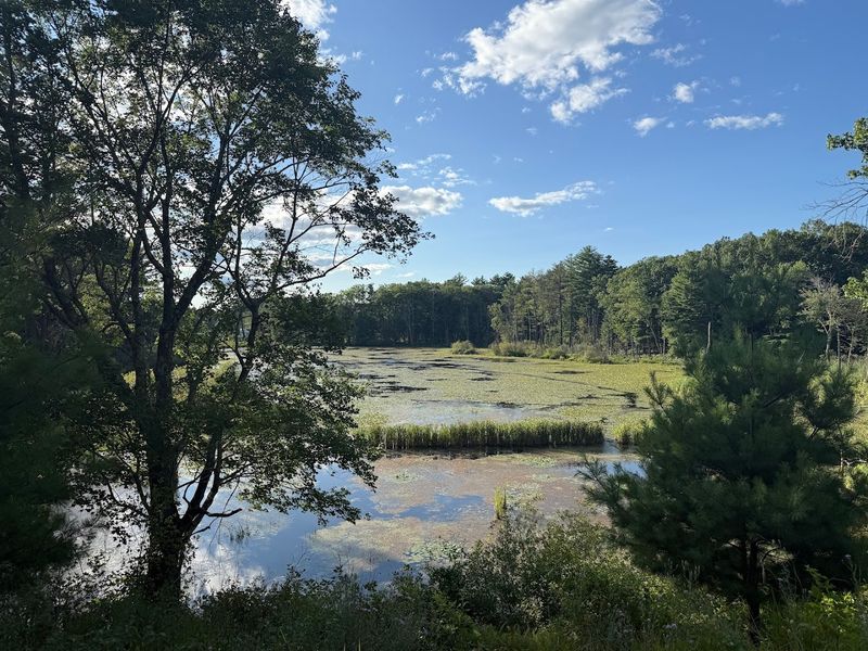 Nashua River Rail Trail