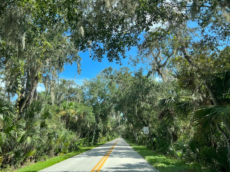 Ormond Scenic Loop & Trail (Ormond Beach)