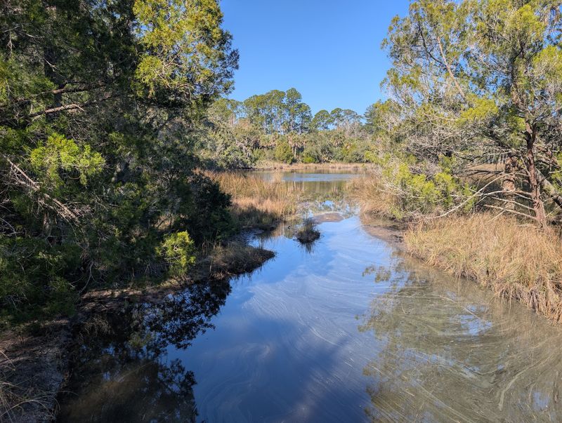 The Journey to Nocatee Landing