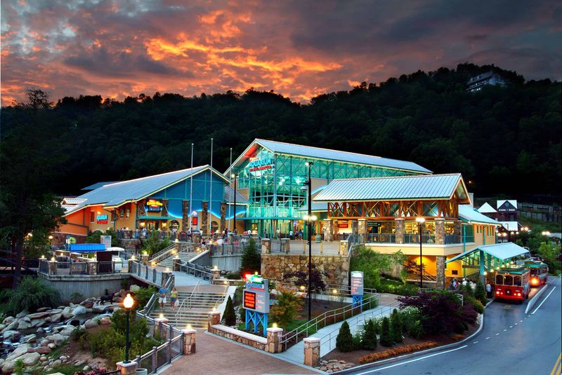 Planning Your Visit to Ripley's Aquarium of the Smokies