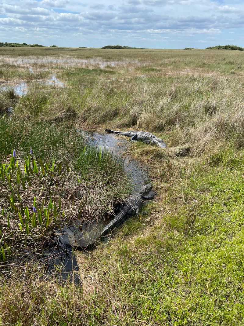 Best Tips for Comfort and Safety