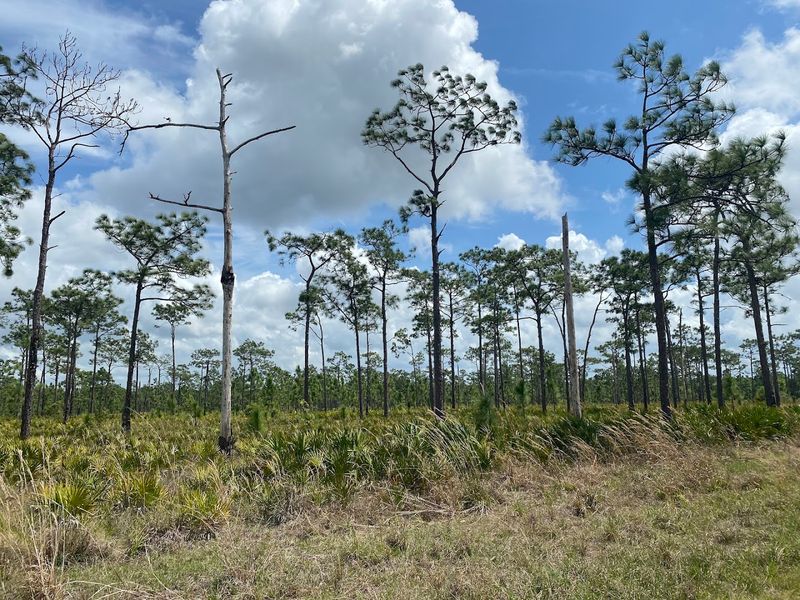 Deep Creek Preserve & Park — Arcadia / DeSoto County