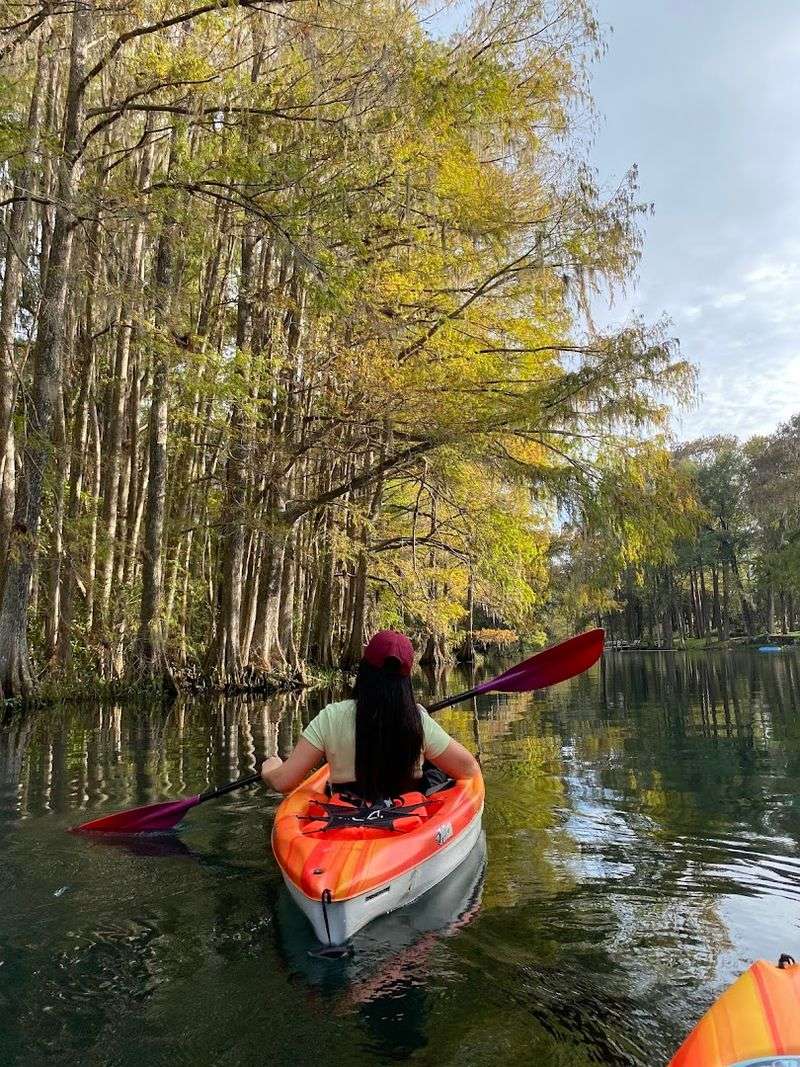 Crystal-Clear Rainbow River Access