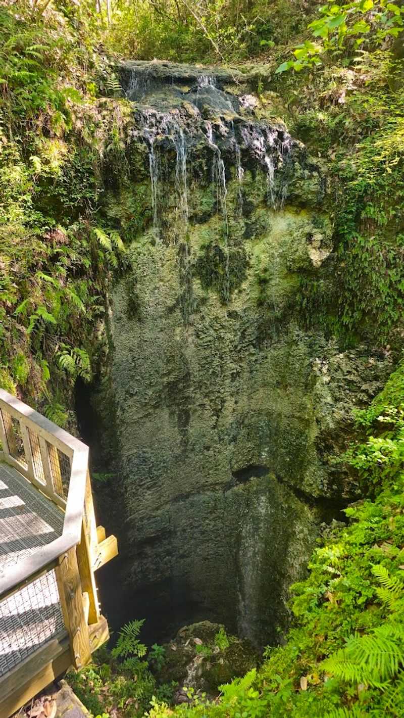 Falling Waters State Park (Chipley)