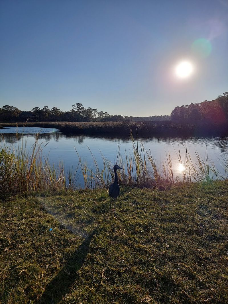 Wildlife Watching Without the Crowds