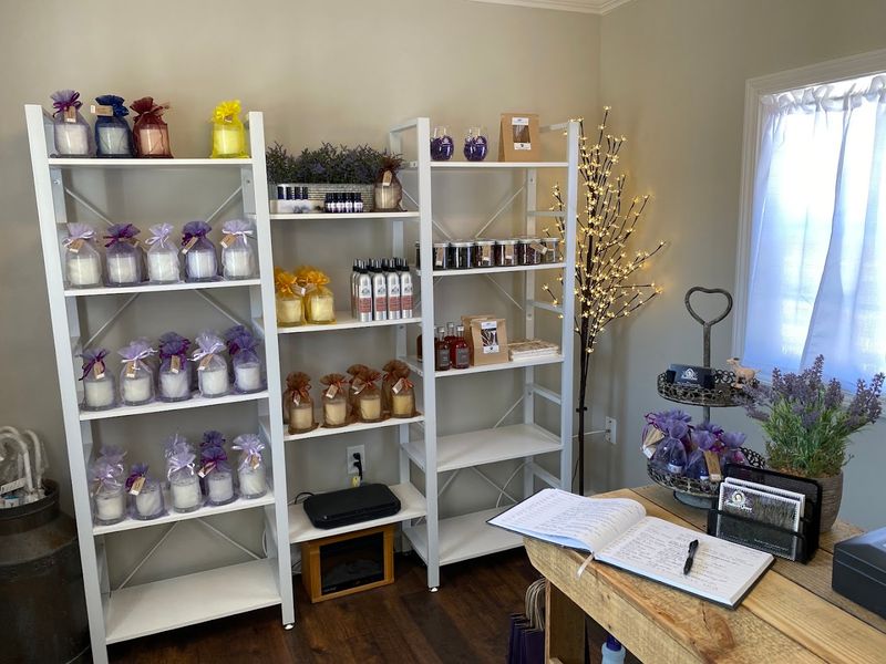 Handcrafted Lavender Products That Actually Deliver