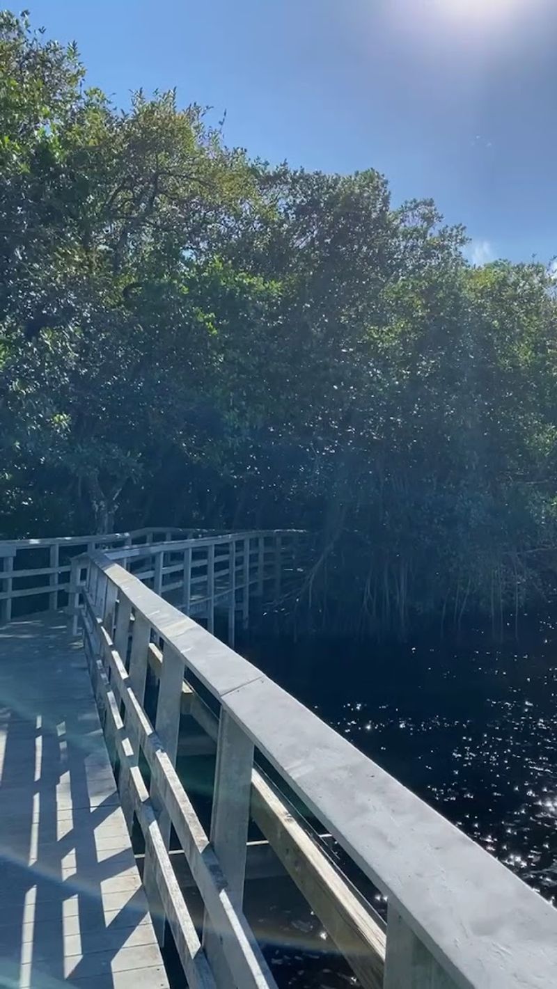Manatee Observation Deck Coming Soon