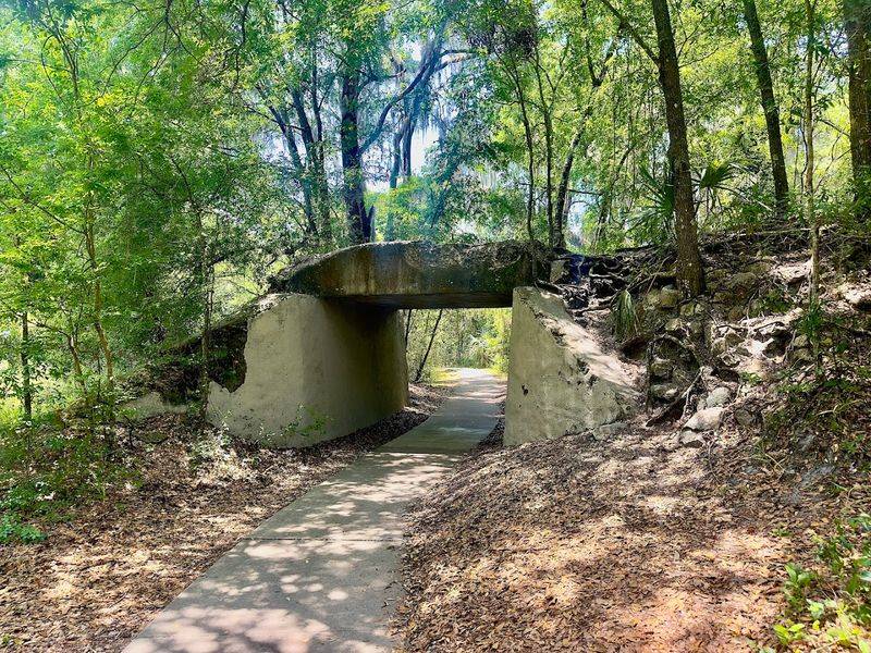Gainesville-Hawthorne State Trail / Paynes Prairie Area (Gainesville)