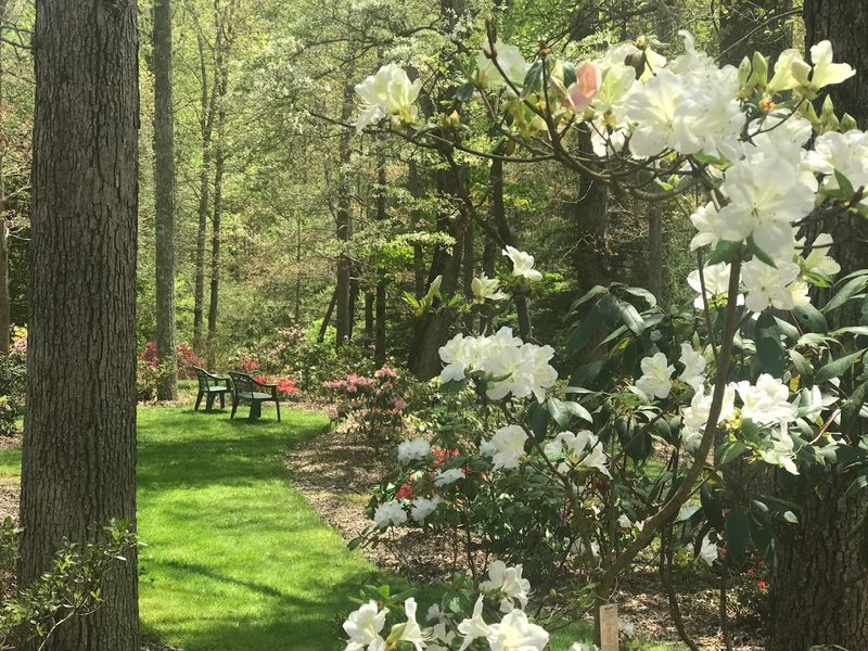 Genesis Gardens Is One of Tennessee's Most Peaceful Spring Hidden Gems