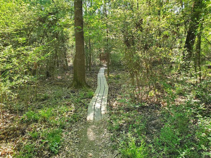 Trails That Wind Through Whispering Woods
