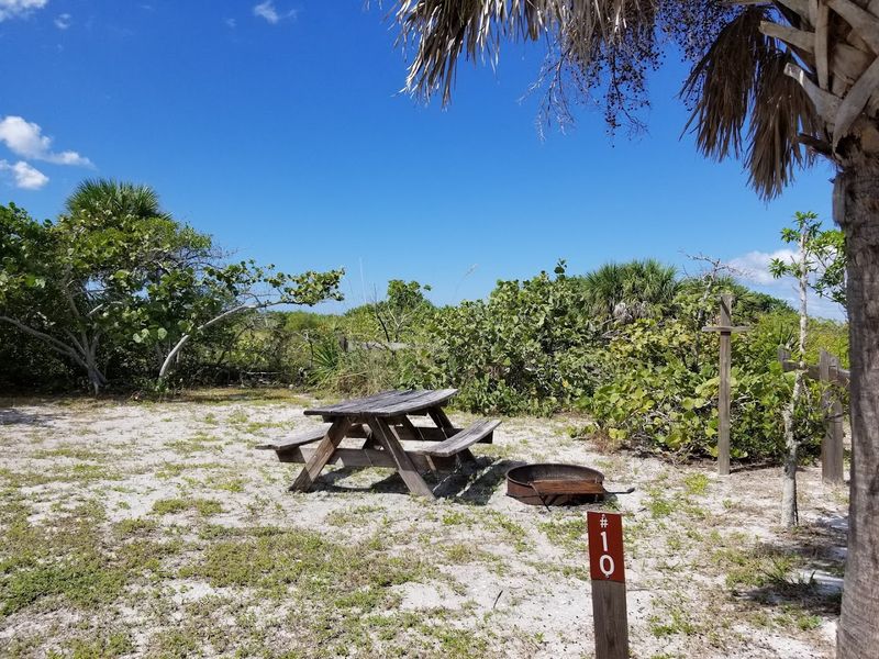 Day Trip Essentials and Insider Tips