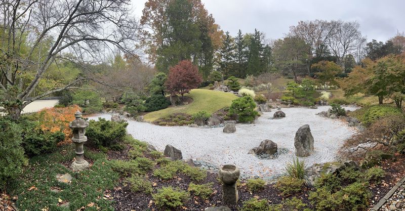 Why the Garden Feels So Restful