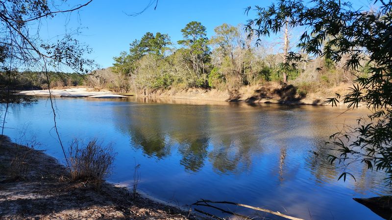 Excellent Birding and Wildlife Watching