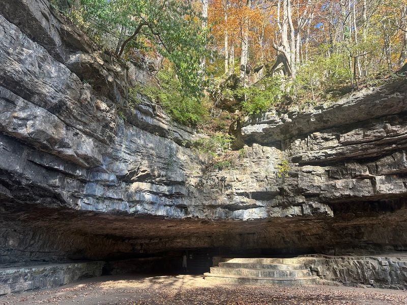 Dunbar Cave State Park, Clarksville