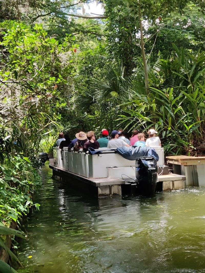 Guided Tours And Rentals