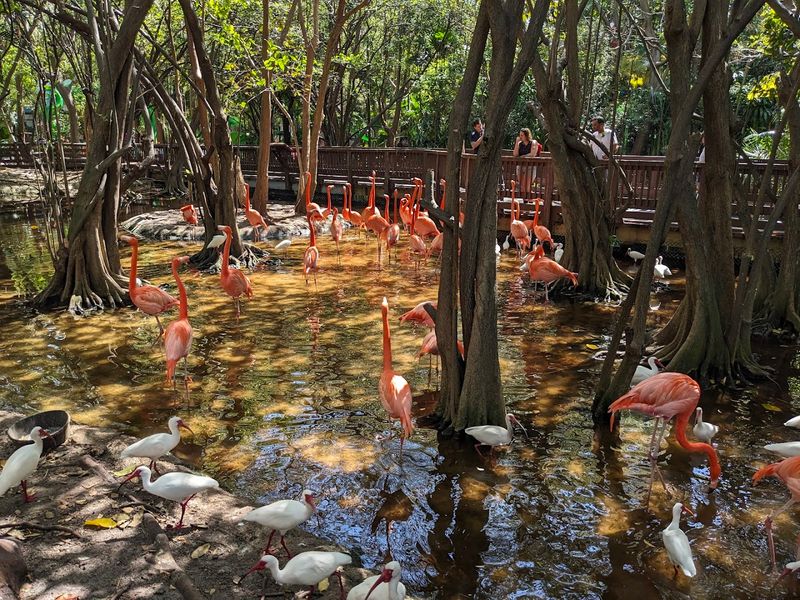 Tips for Making the Most of Your Visit to the Japanese Garden