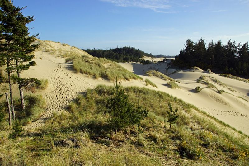 Oregon Dunes National Recreation Area &mdash; Florence / Coos Bay Region