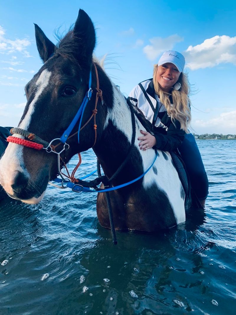 Rescued Horses With Amazing Stories