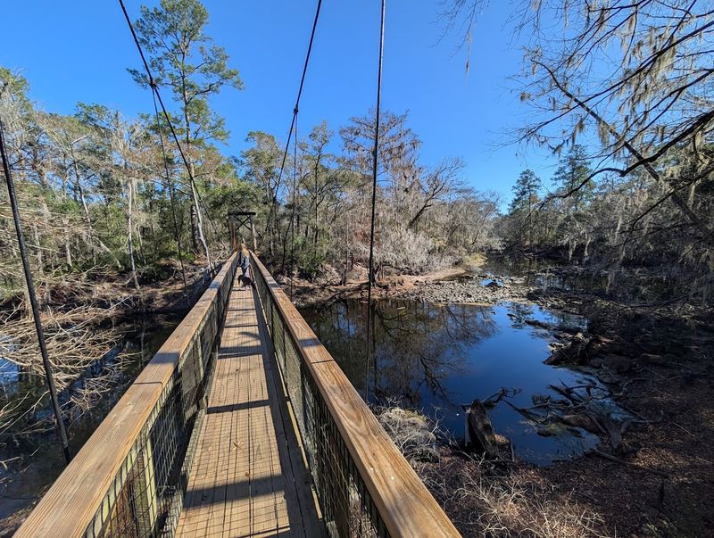 The Suspension Bridge and CCC Echoes