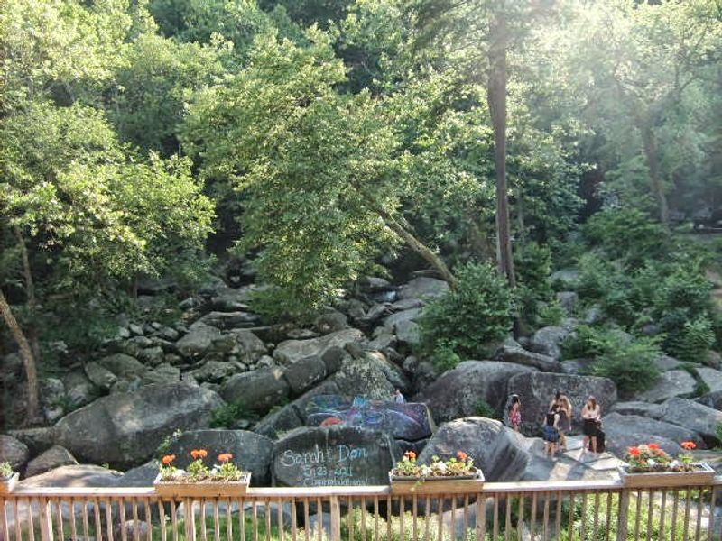 St. Peters Bakery Porch Breakfasts