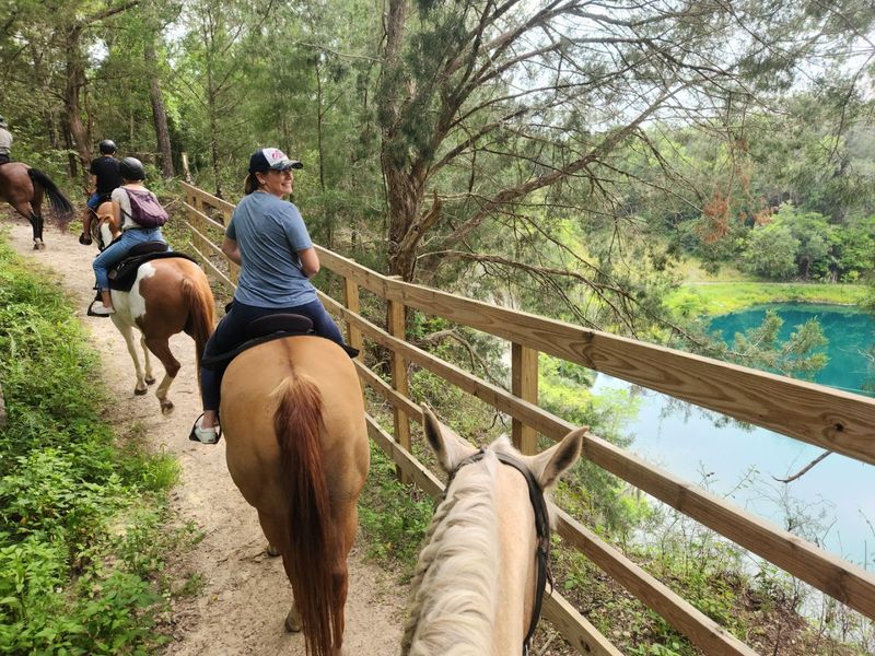 Horseback Riding Through Unexpected Terrain