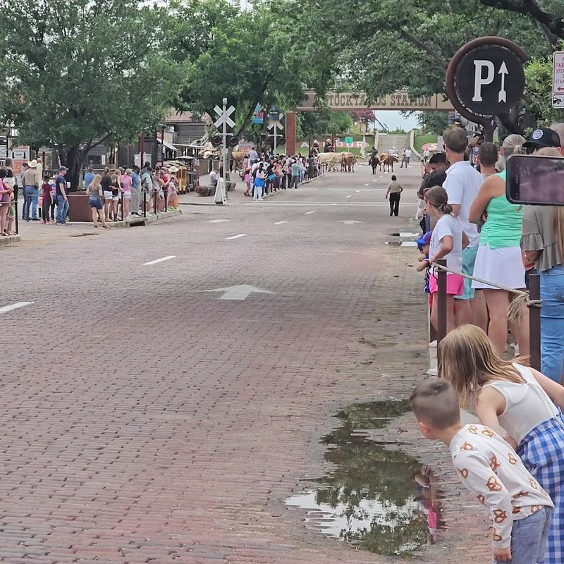 Accessible Viewing Areas for All Visitors