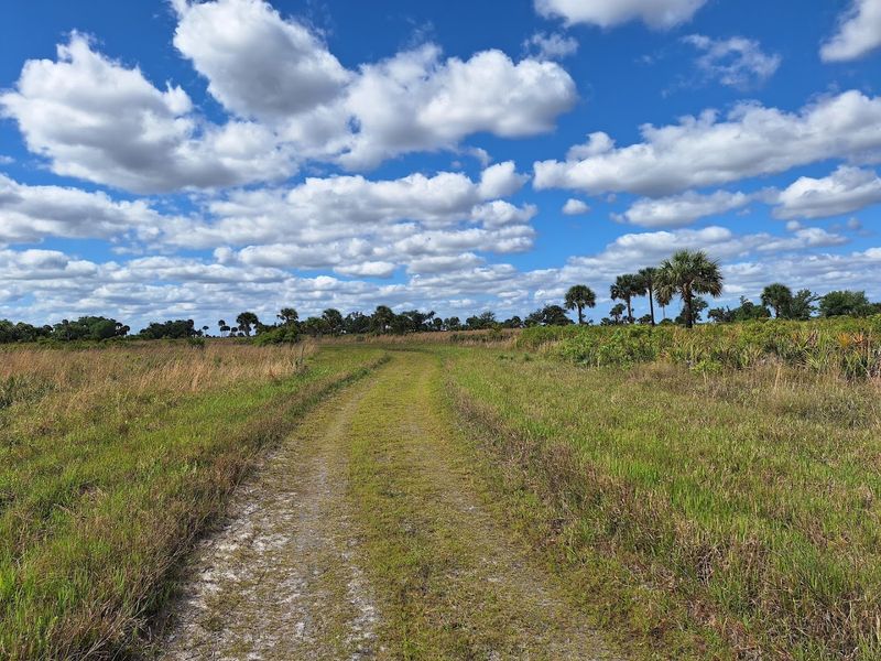 Endless Prairie Trails for Hiking and Exploration