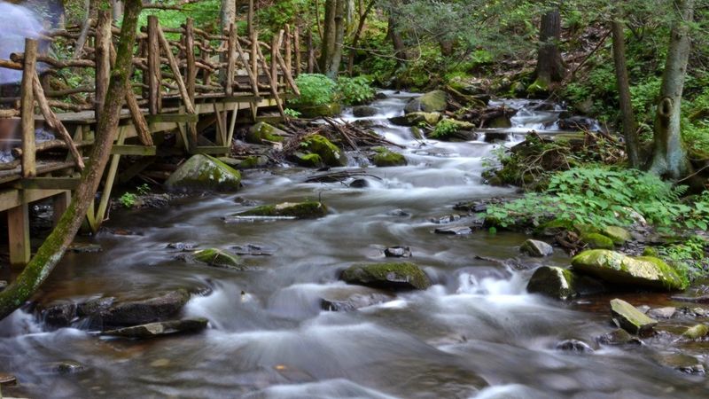 Bushkill Falls Green Trail, Bushkill