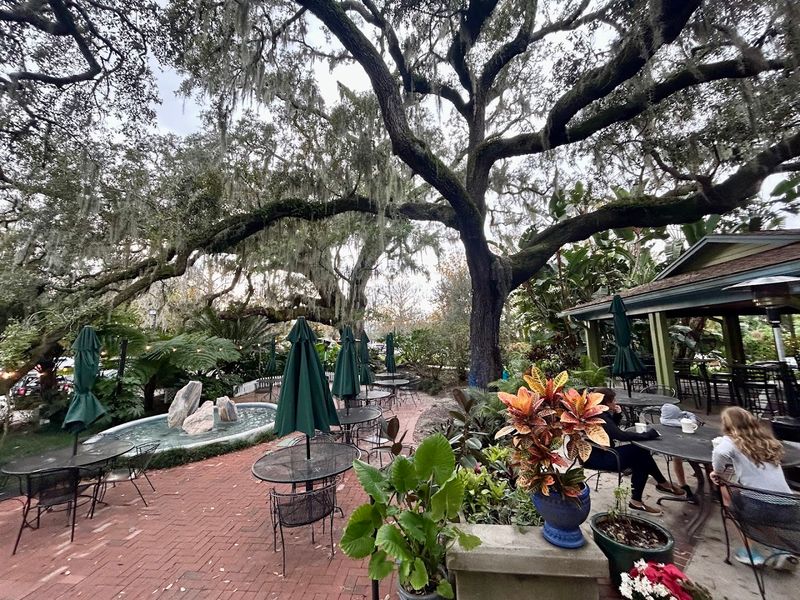 The Dreamy Outdoor Bar Under Towering Oaks