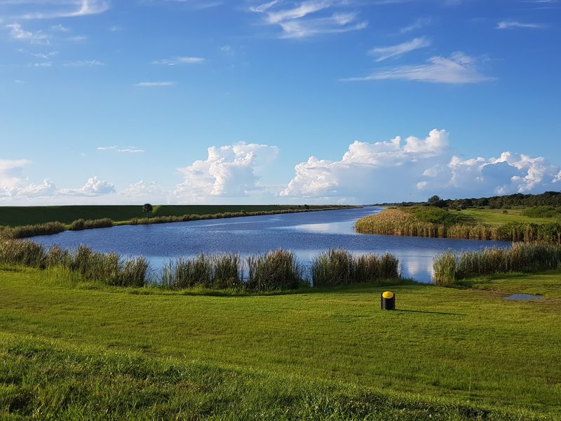 Agricultural Runoff Is Fueling Toxic Algae Blooms