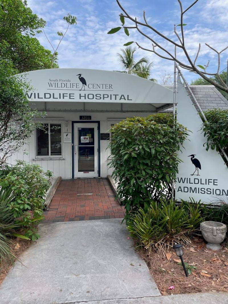 Donations Keep Every Rescue Possible