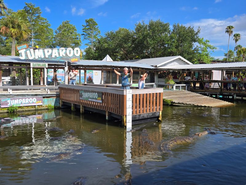 Gator Jumparoo Show