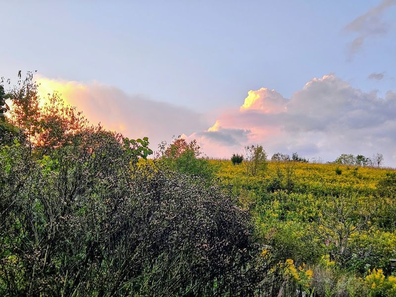 Every Season Brings Something New to See at the Park