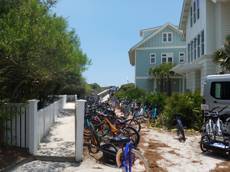 Walking and Biking Everywhere