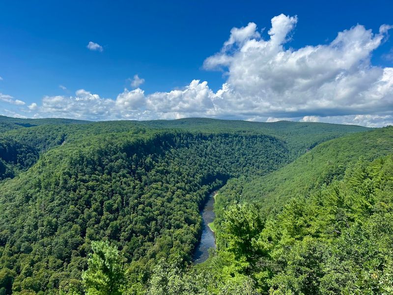 Leonard Harrison State Park (Pine Creek Gorge / Grand Canyon of Pennsylvania area)