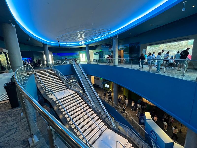 Modern Facility Design Prioritizes Accessibility and Visitor Comfort